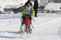 Lenk 2012 SM